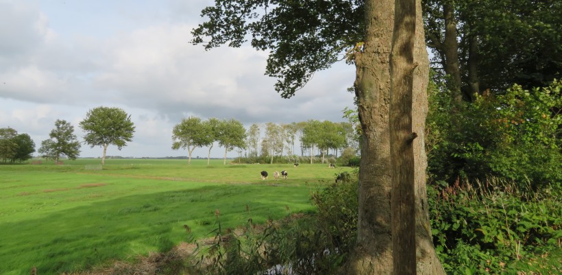 uitzicht naar noorden